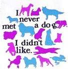 Never Met a Dog