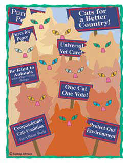 Cats For A Better Country (Tees, Sweatshirts)