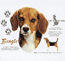 Beagle Dog History Tote