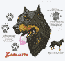 Beauceron Dog History Shirt