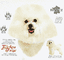 Bichon Frise Dog History Shirt
