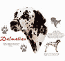 Dalmatian Dog History Tote