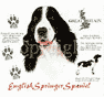 English Springer Spaniel Dog History Tote