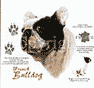 French Bulldog Dog History Shirt