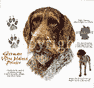 German Wire-Haired Pointer Dog History Shirt