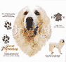 Great Pyrenees Dog History Tote