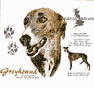 Greyhound Dog History Shirt