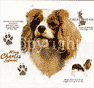 King Charles Spaniel Dog History Shirt