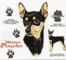 Miniature Pinscher Dog History Shirt