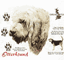 Otterhound Dog History Shirt
