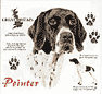 Pointer Dog History Tote