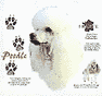 Poodle (White) Dog History Shirt