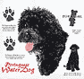 Portuguese Water Dog History Shirt