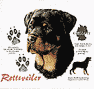 Rottweiler Dog History Shirt