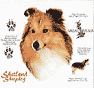 Shetland Sheepdog Dog History Shirt