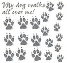 My Dog Walks All Over Me