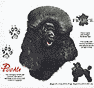 Poodle (Black) Dog History Tote