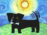 Sundog (Tees, Sweatshirts)