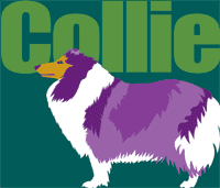 Collie (Tees, Sweatshirts)