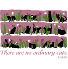Cat Corner-Collette's Cats (Tees, Sweatshirts)