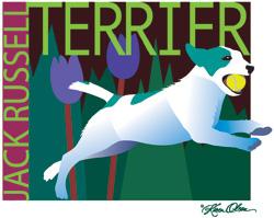 Jack Russell Terrier (Tees, Sweatshirts)