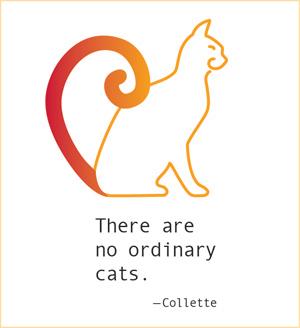 No Ordinary Cat (Tees, Sweatshirts)