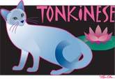Tonkinese Cat (Tees, Sweatshirts)
