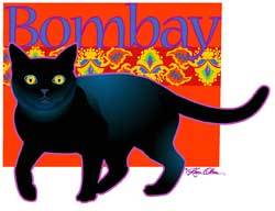 Bombay Cat (Tees, Sweatshirts)