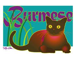 Burmese Cat (Tees, Sweatshirts)