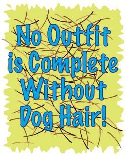 No Outfit is Complete w/o Dog Hair