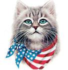 Cat Corner-American Bandana Cat (Tees, Sweatshirts)
