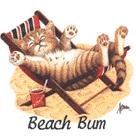 Cat Corner-Beach Bum (Kitten in Chair) (Tees, Sweatshirts)