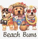 Beach Bum Puppies