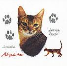 American Abyssinian Cat History Tote
