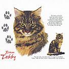 Brown Tabby Cat History Tote