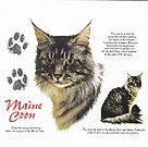 Maine Coon Cat History Tote