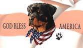 Rottweiller Tote