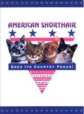 American Shorthair Cat Crest