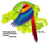Macaw, Judge The Heart of Man (Tees, Sweatshirts)