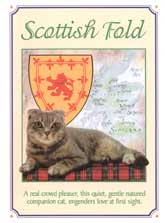 Scottish Fold Cat Crest
